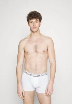 Pier One 5 PACK - Panties - White/pink/light Blue -Pier One Verkaufsgeschäft 3721024dbc554890a6059d1e8168907f